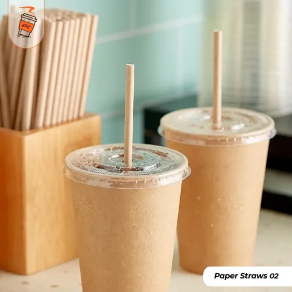Paper Straws design (2)